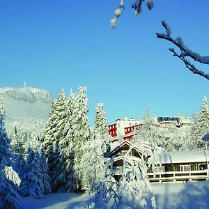 Thon Hotel Skeikampen